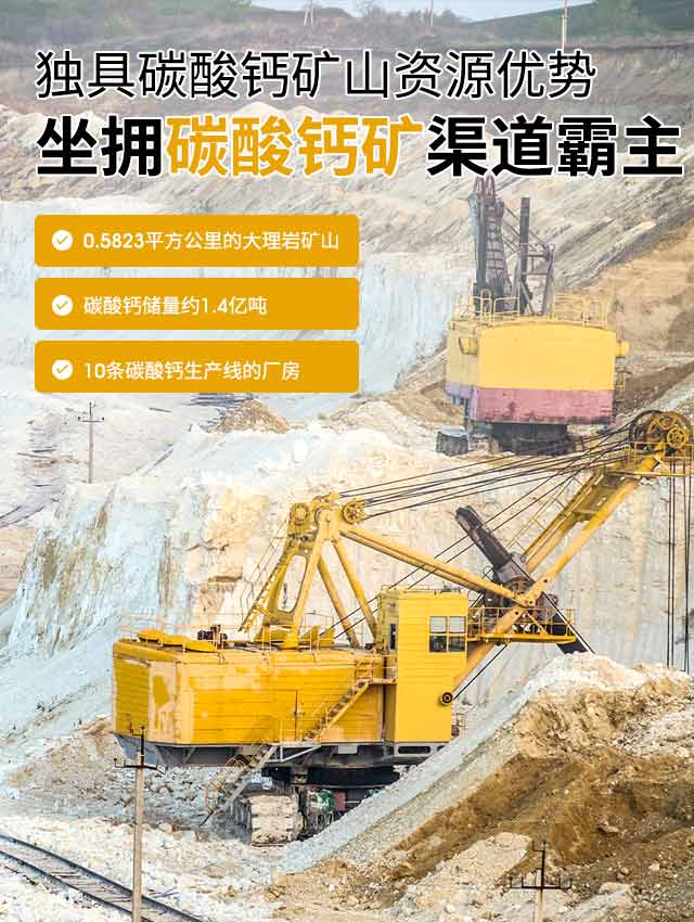 和立鑫矿业